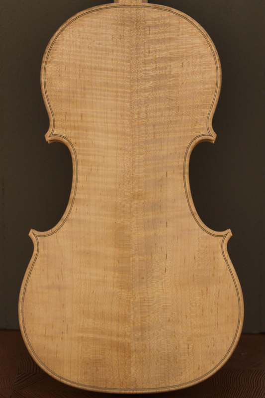 a close up of a violin