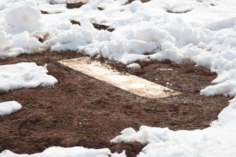 a plate in the dirt with snow