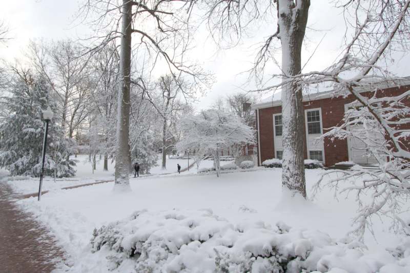 a snow covered yard with trees and a building