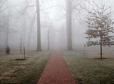 a red path in a foggy park