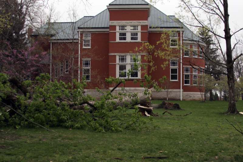 a large tree fallen over a building