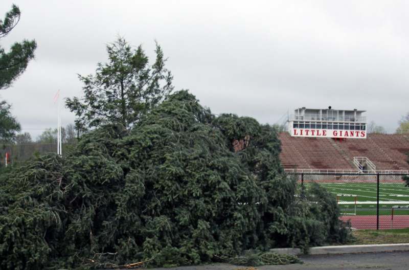 a tree fallen over a stadium