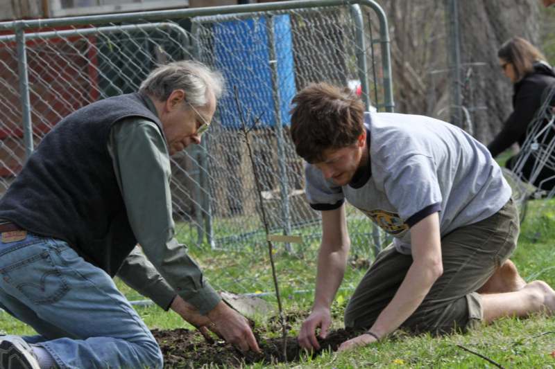 a man and a man planting a tree