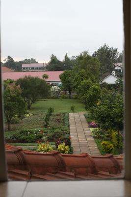 a view of a garden from a window