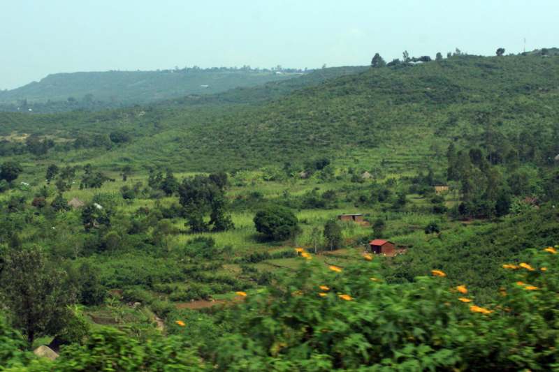 a green landscape with trees and buildings