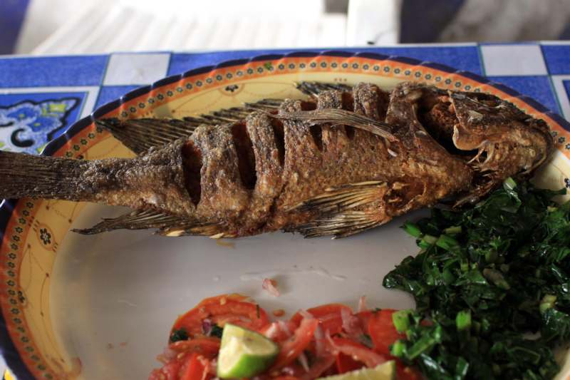 a fried fish on a plate with vegetables