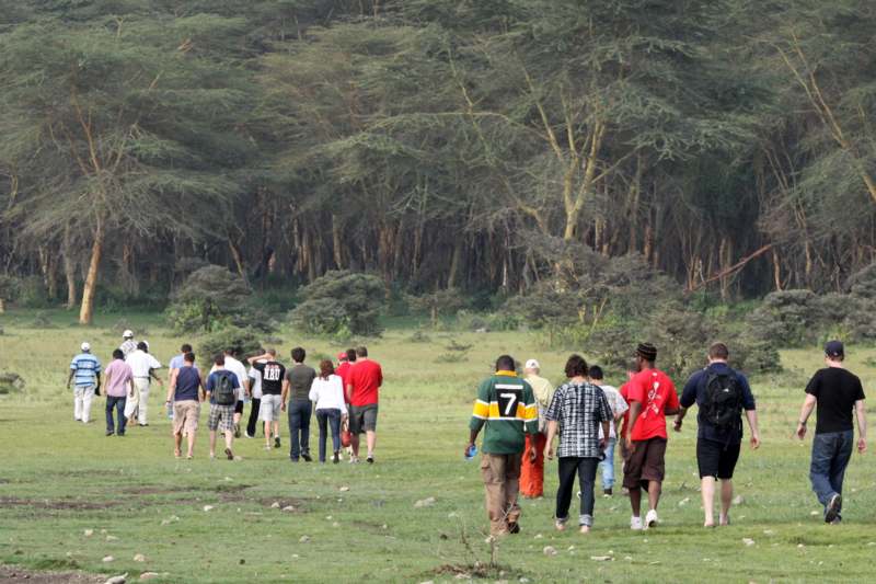 a group of people walking in a field