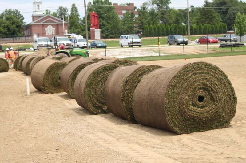 rolls of grass in a row