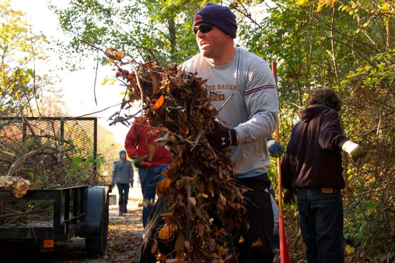 a man holding a pile of leaves