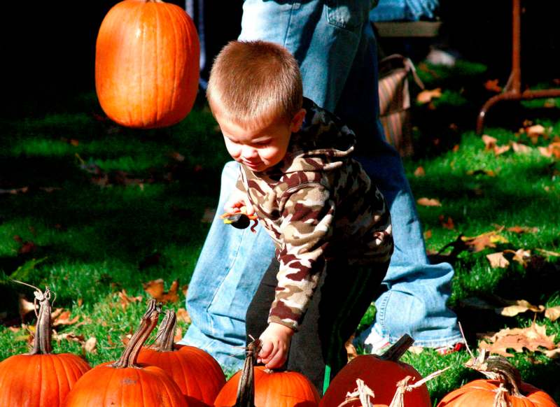 a child picking up a pumpkin