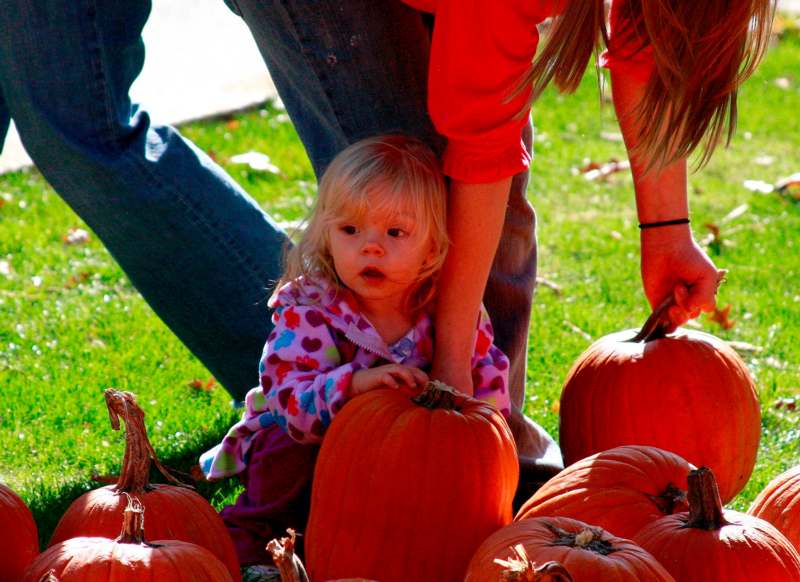 a child sitting on a pile of pumpkins