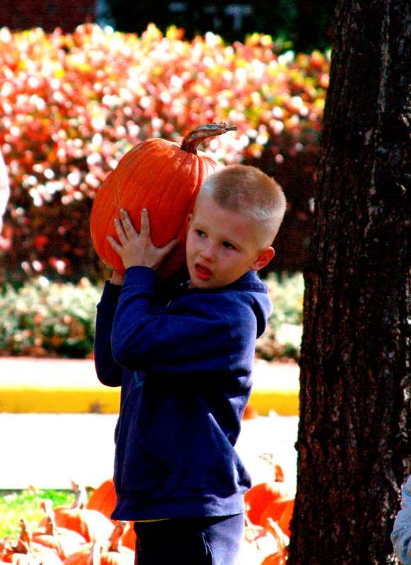 a boy holding a pumpkin