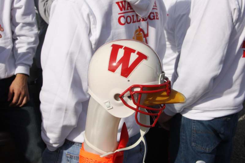 a plastic football helmet with a duck face