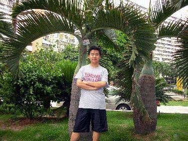 a man standing under a palm tree