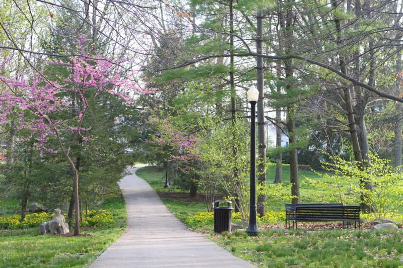 a path with a bench and a lamp post in a park