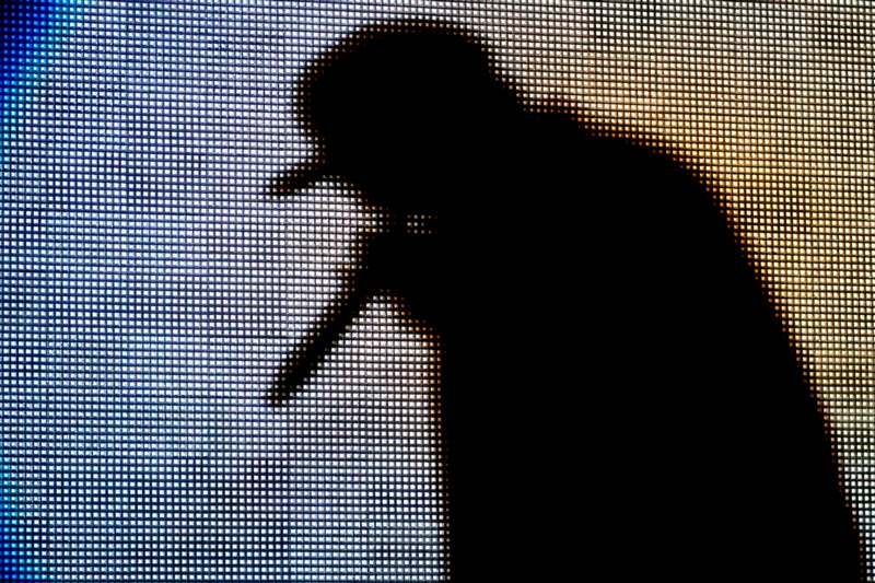 a silhouette of a person holding a microphone