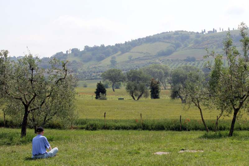 a man sitting in a grassy field