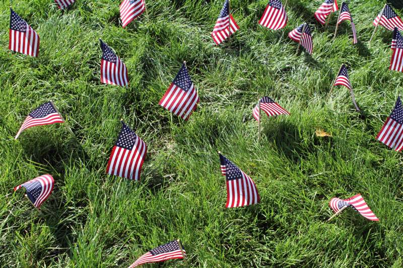 small flags in the grass