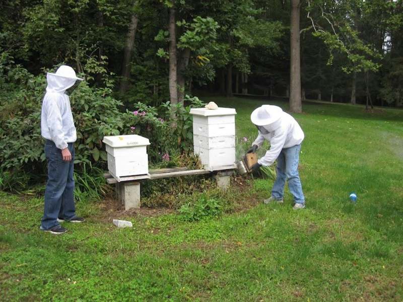 a group of people in white beehives