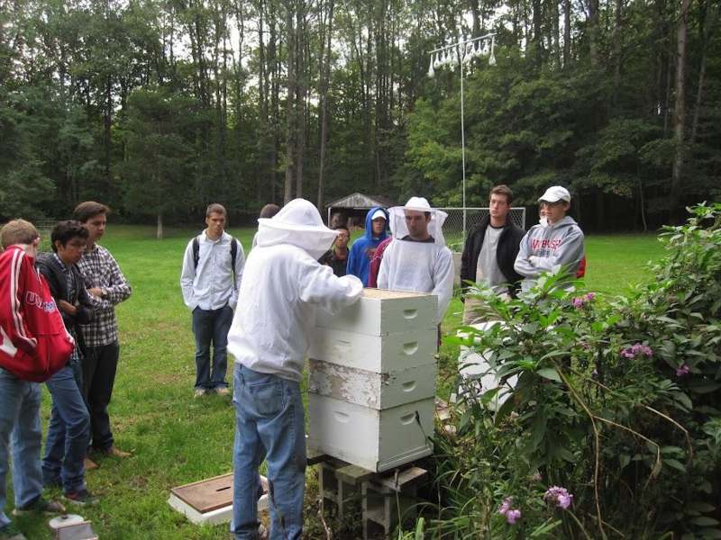 a group of people standing around a beehive