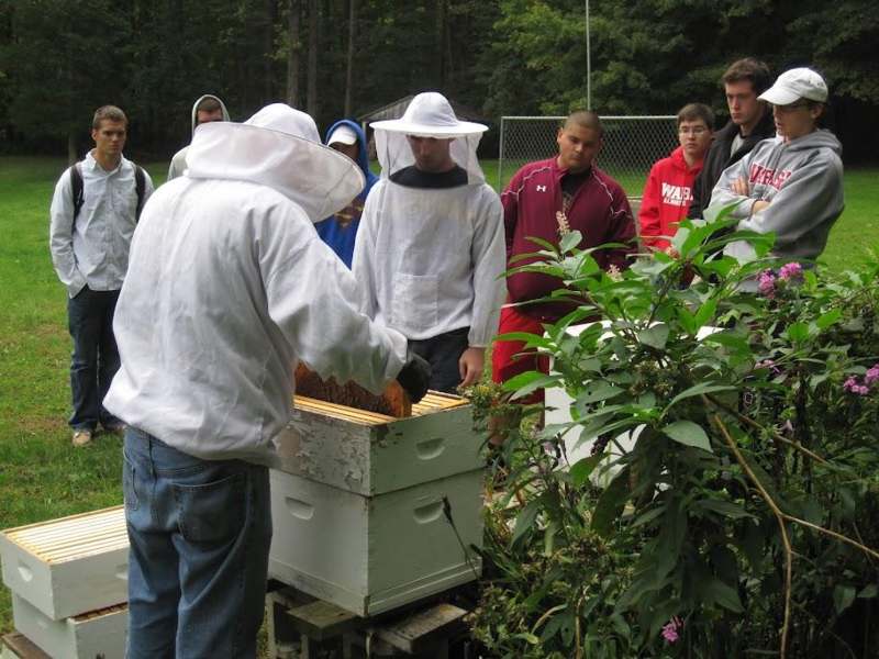 a group of beekeepers standing around a beehive
