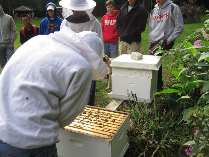 a group of people looking at beehives