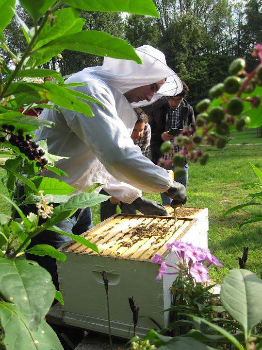 a man wearing a white hoodie and standing in front of a beehive
