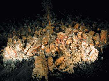 a large pile of fish