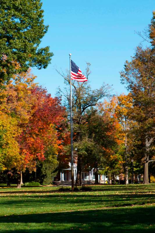 a flag on a pole in front of trees