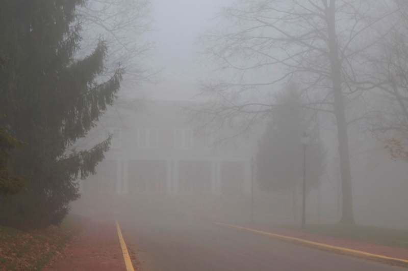 a foggy road with trees and a building