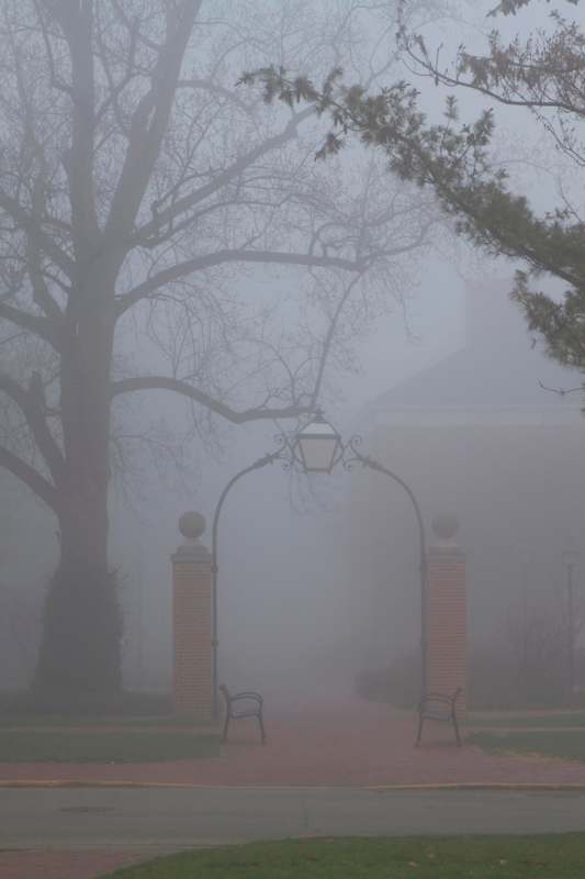a foggy view of a park with benches and a lamp post