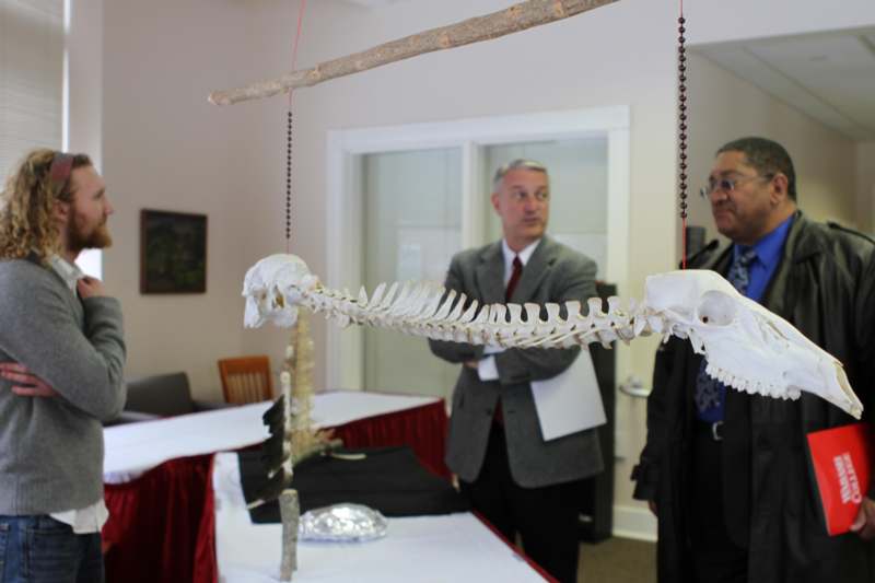 a man looking at a skeleton of a animal