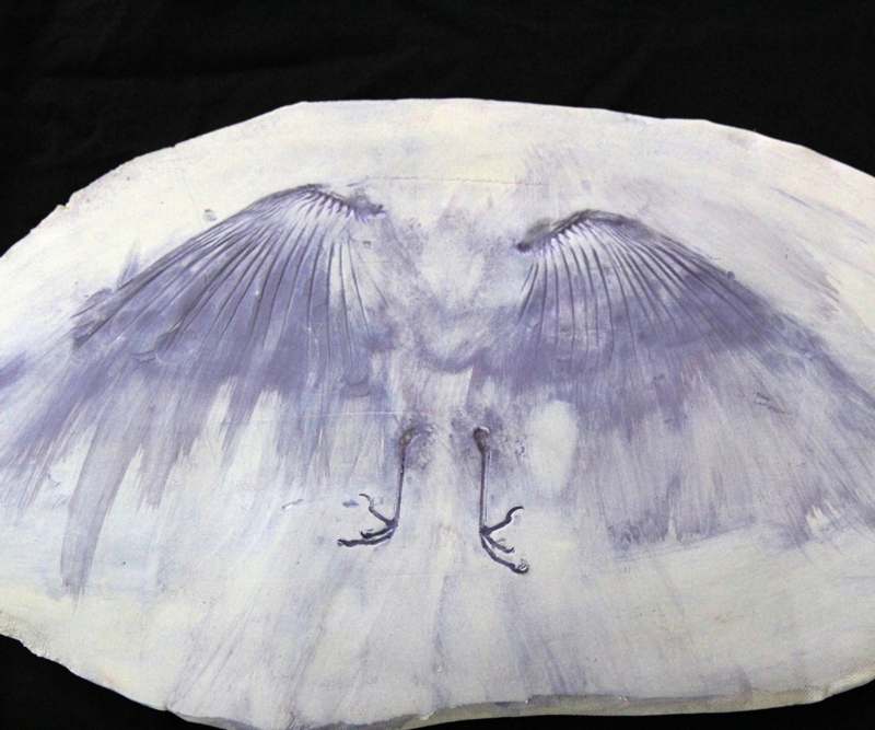 a white and purple bird wing