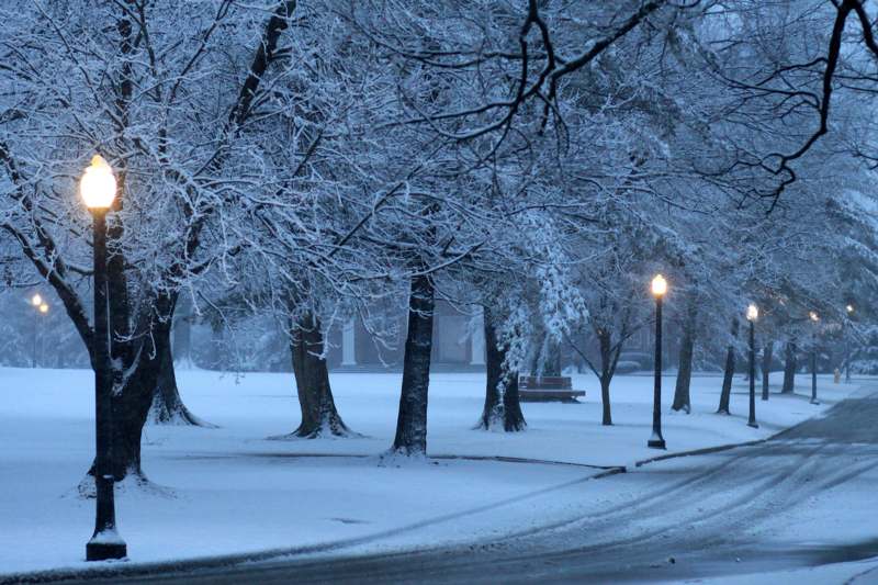 a snow covered park with trees and a street light