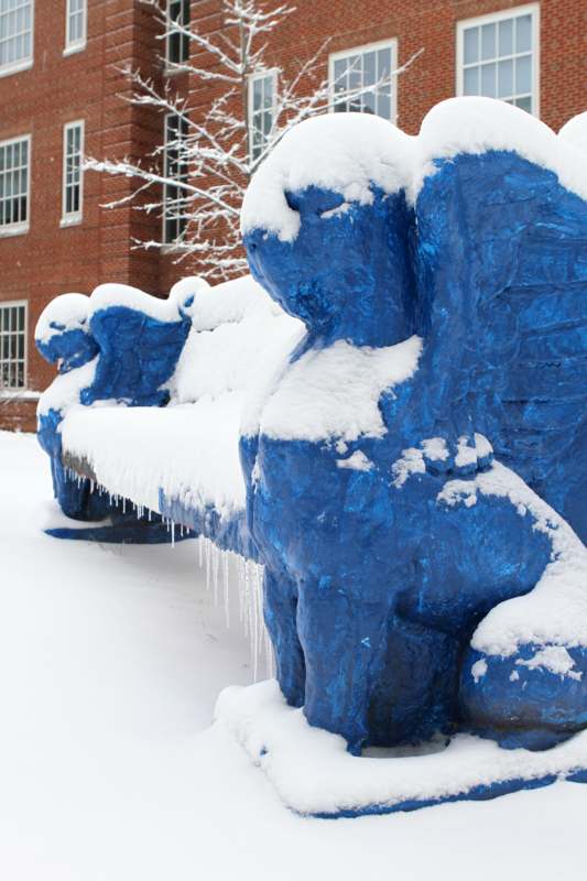 a blue lion statue covered in snow