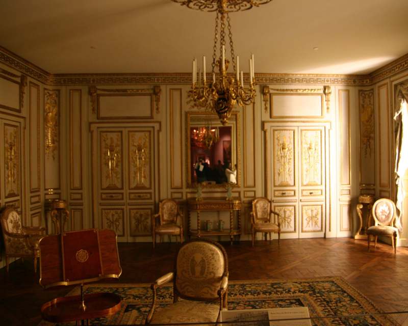 a room with gold walls and a chandelier