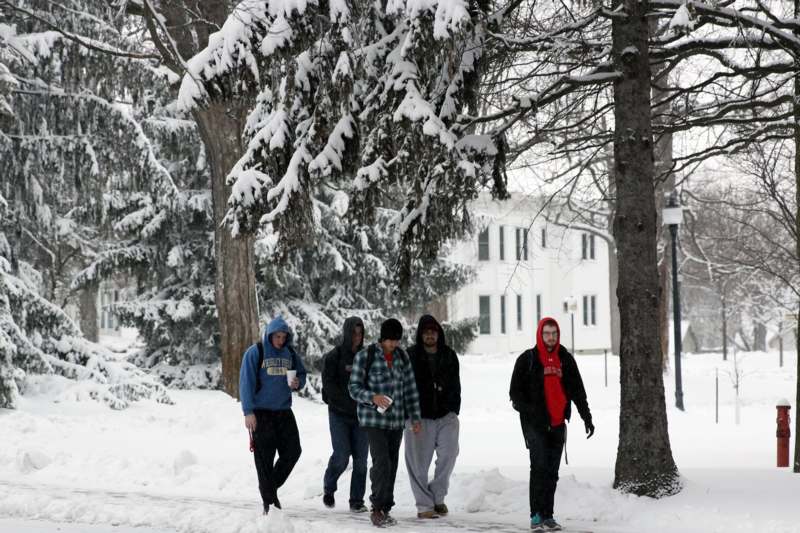a group of people walking in the snow