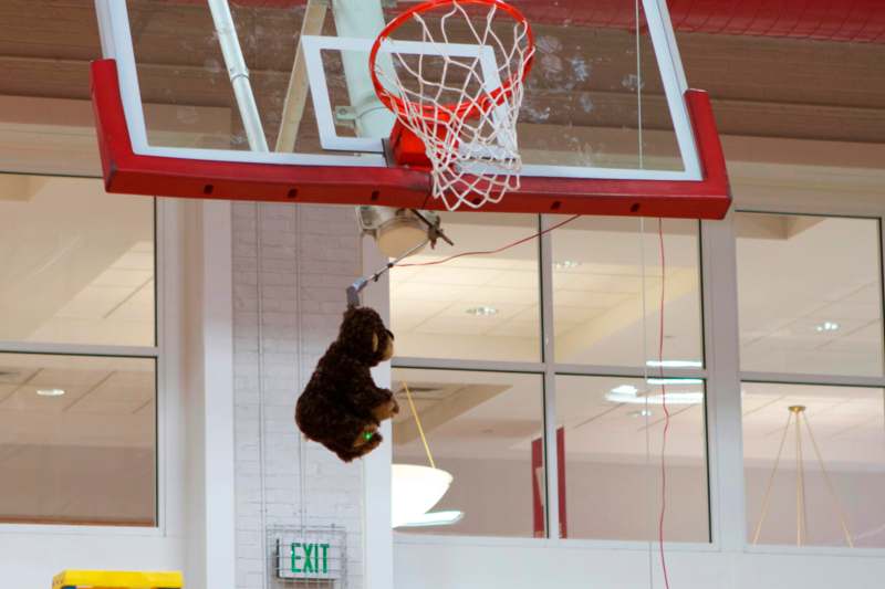 a stuffed animal from a basketball hoop