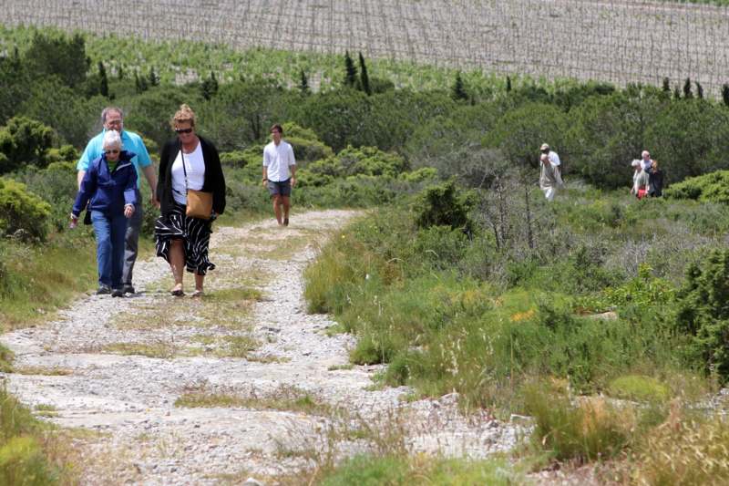 a group of people walking on a dirt path