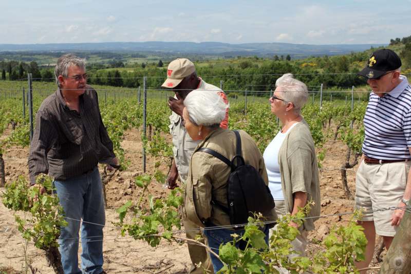 a group of people standing in a vineyard