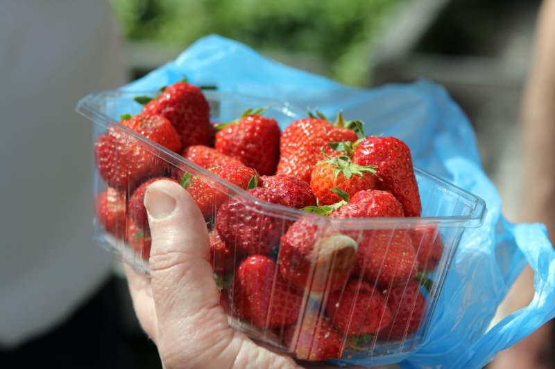 a hand holding a container of strawberries