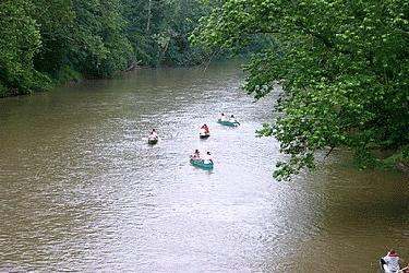 a group of people in canoes on a river