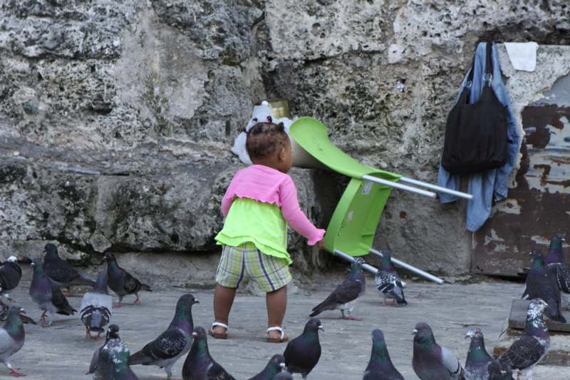 a baby girl standing near pigeons