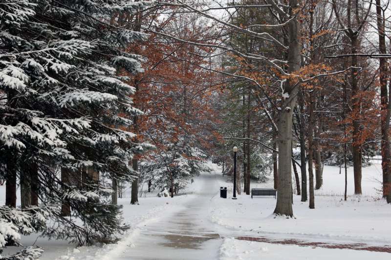 a snow covered path with trees and a bench