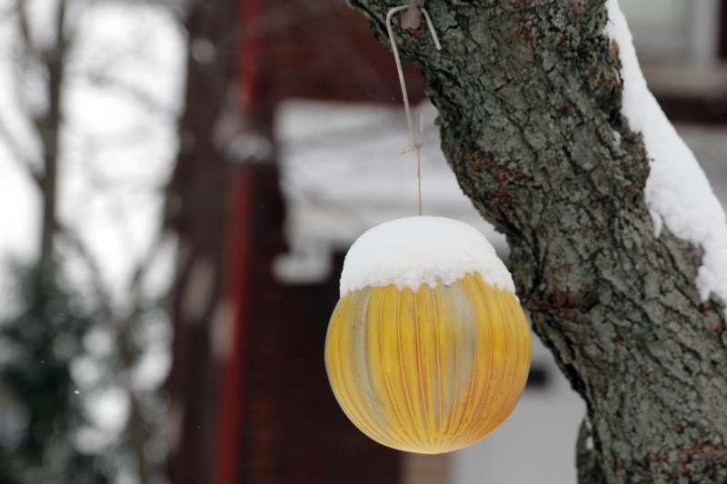 a yellow ball from a tree
