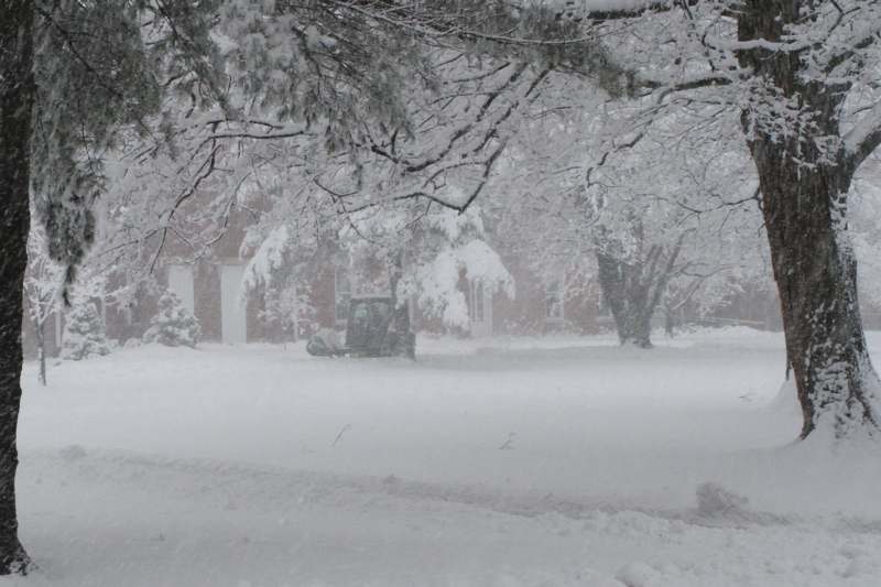 a snow covered yard with trees and a tractor