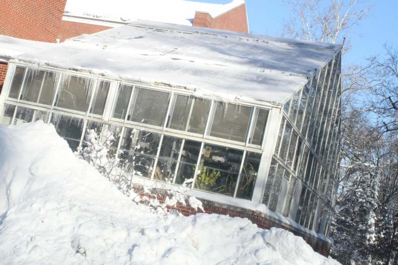 a greenhouse with snow on the ground