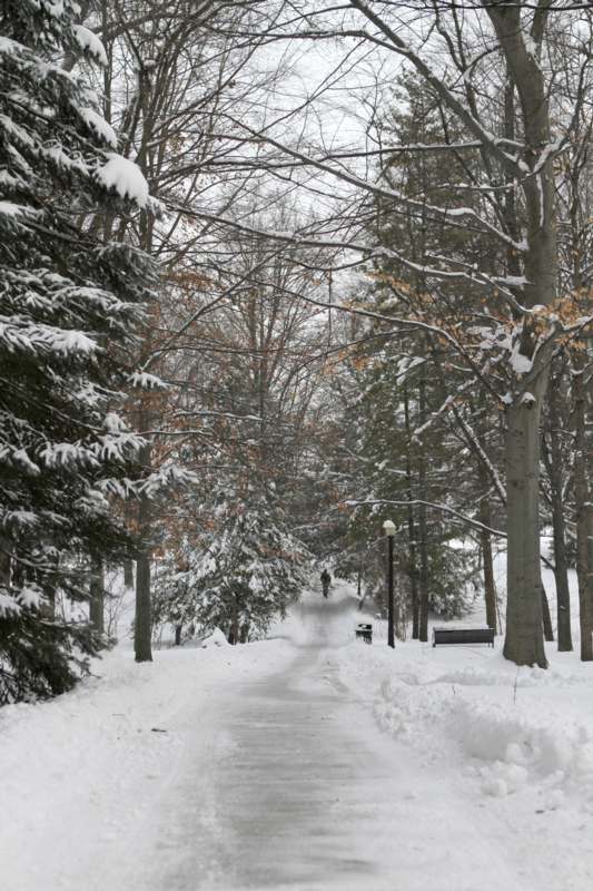 a snow covered path with trees and a person walking on it