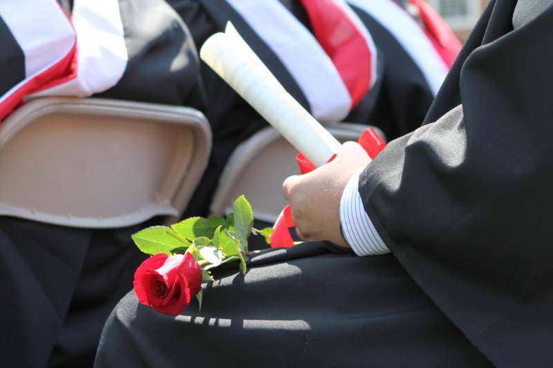 a person holding a rose