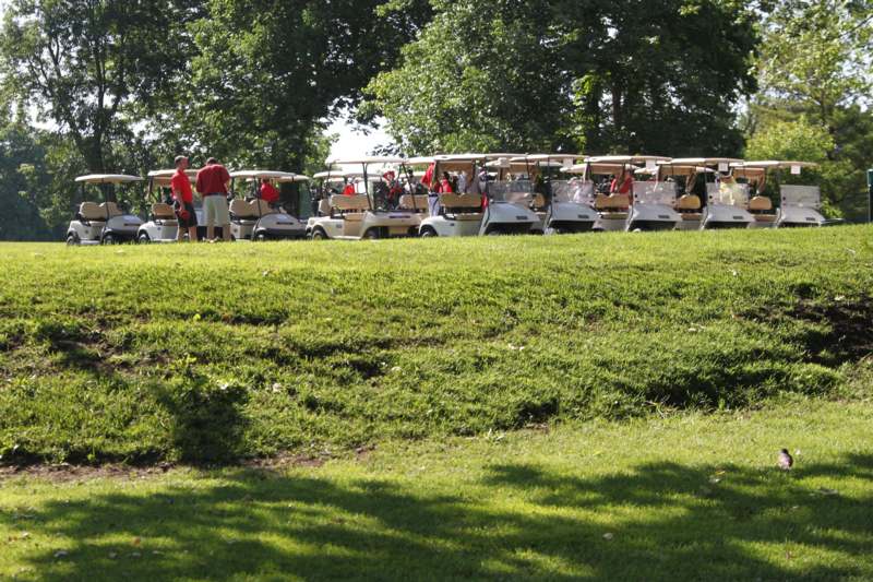 a group of people standing in a line with golf carts